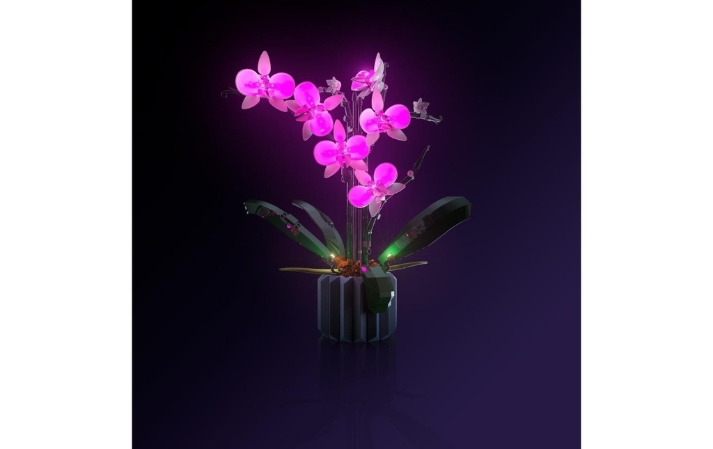 Light My Bricks Lumières-LED pour LEGO® Orchidée 10311