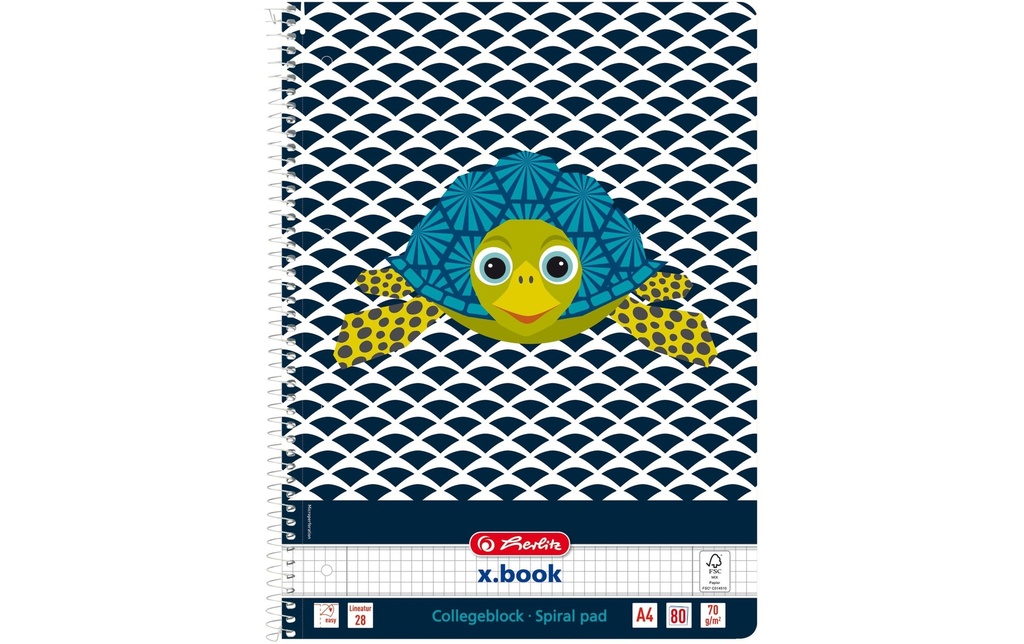 HERLITZ Bloc collège A4 quadr. tortue (160 pces)
