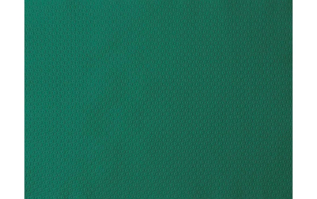 Duni Set de table 500 pièces 30 cm x 40 cm, vert herbe