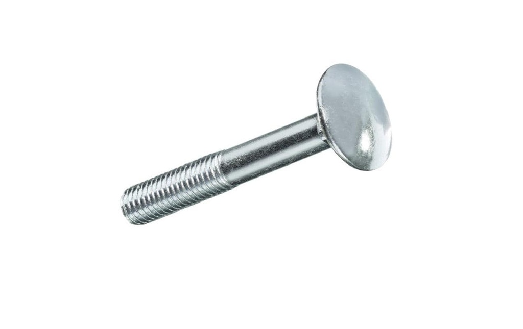 FTM Vis de serrure M 5 x 30 mm Acier inoxydable, 4 pièces