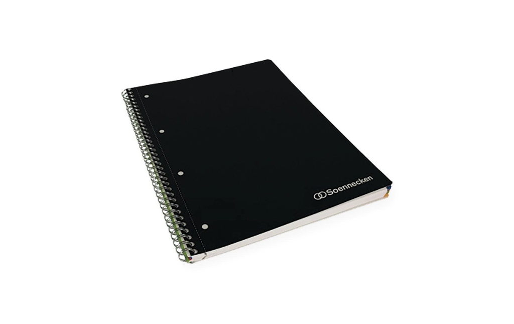 Soennecken Carnet de notes Meetingbook, A4, À carreaux, Noir
