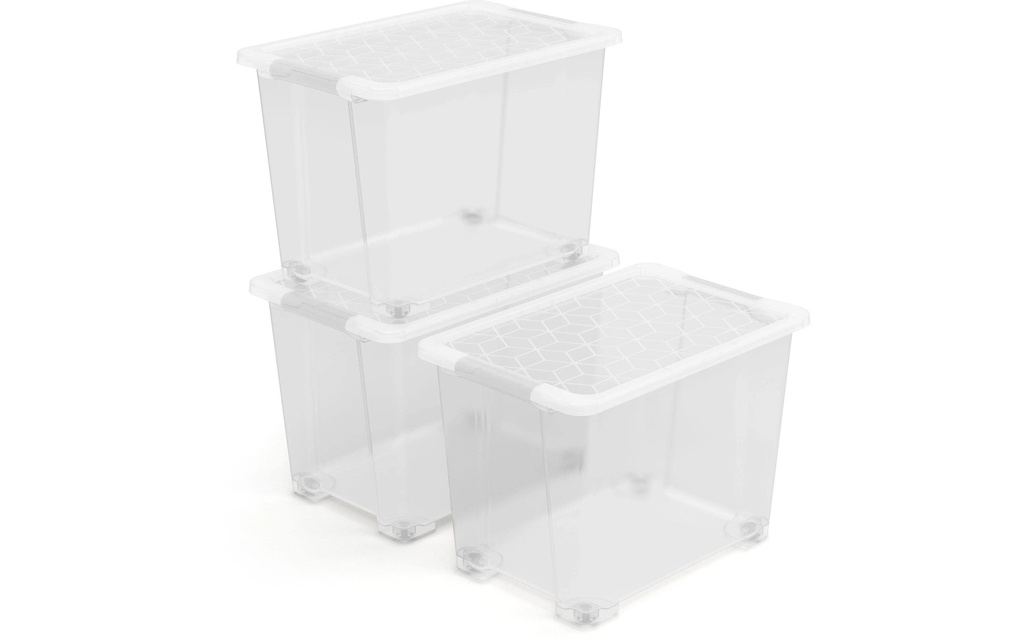 Rotho Boîte de rangement EVO EASY Transparent, 3 pcs.
