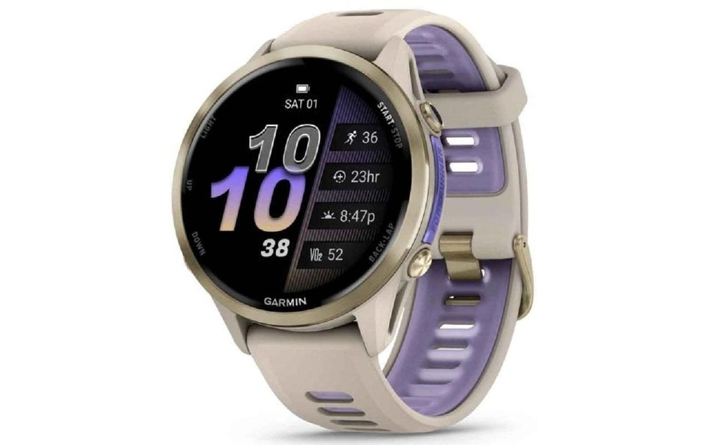 GARMIN Forerunner 970 Gray/Indigo