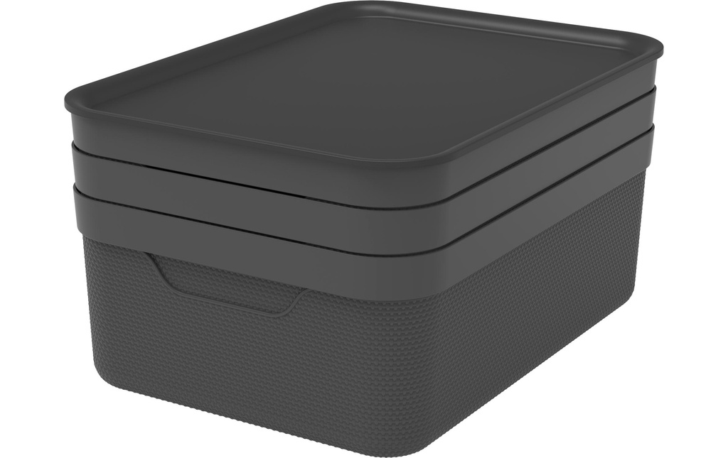 Rotho Boîte de rangement JIVE Noir