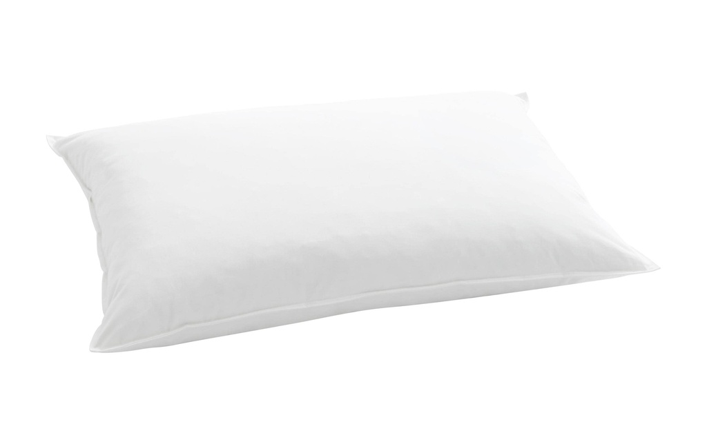 Billerbeck Oreiller classique Standard 250 Duvet, 50 x 70 cm
