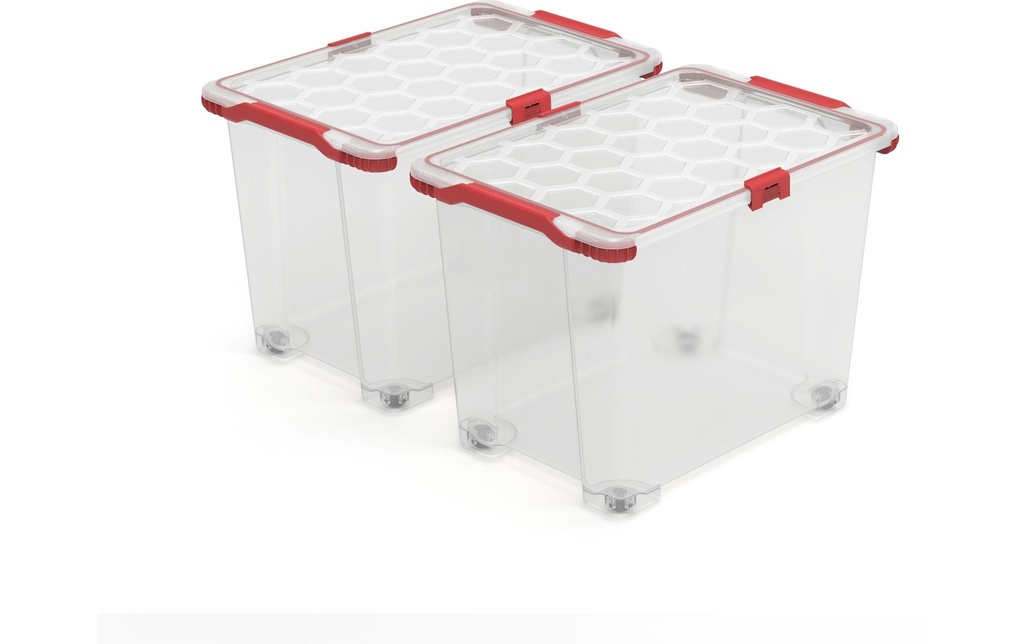 Rotho Boîte de rangement EVO TOTAL Transparent, 2 pcs.