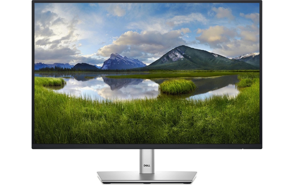 Dell Moniteur P2425