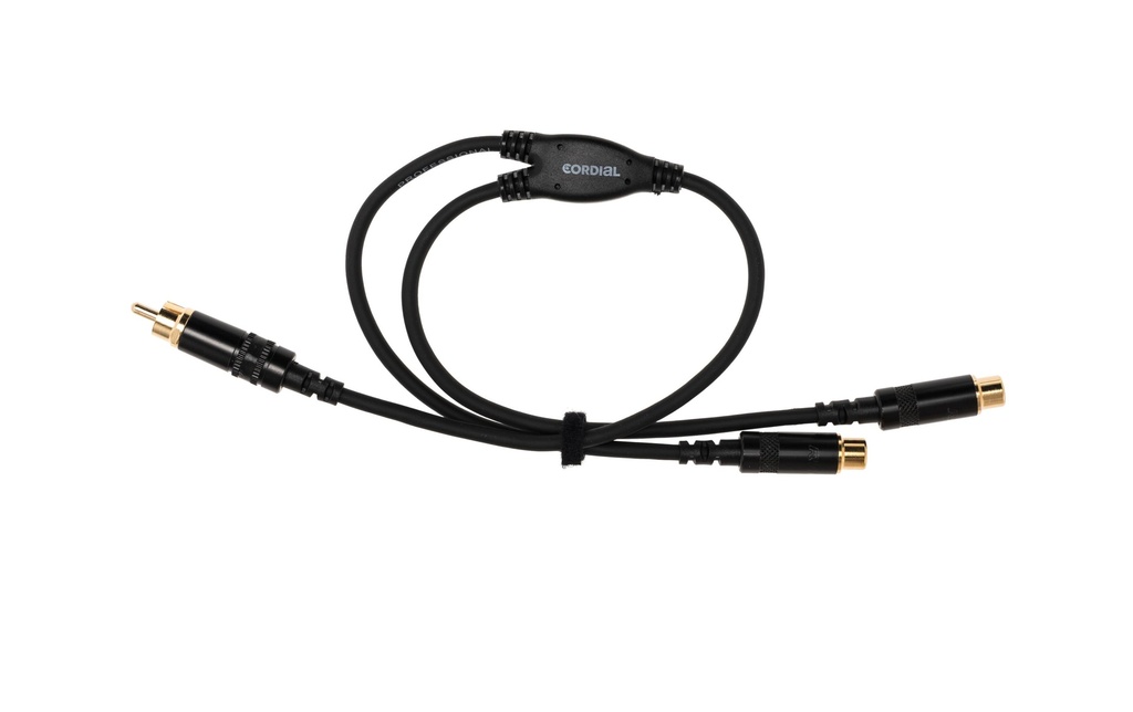 Cordial Câble audio CFY 0.3 CEE Cinch - Cinch 0.3 m