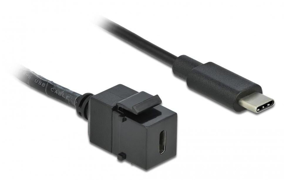 Delock Module Keystone USB3.0 USB-C – USB-C, 25cm Noir