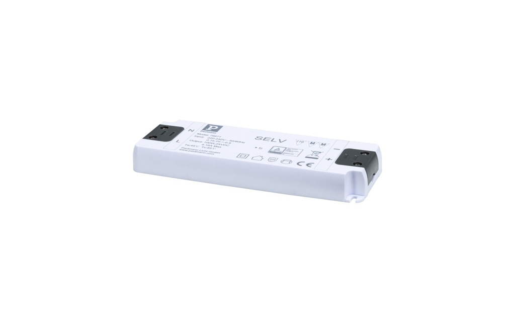 Paulmann Accessoires d'alimentation Pro 230/24 V 100 VA Blanc