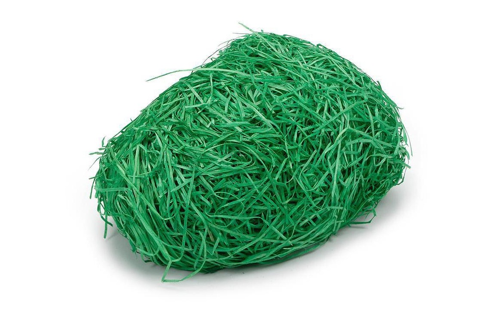 Braun + Company Herbe décorative 1000 g Vert