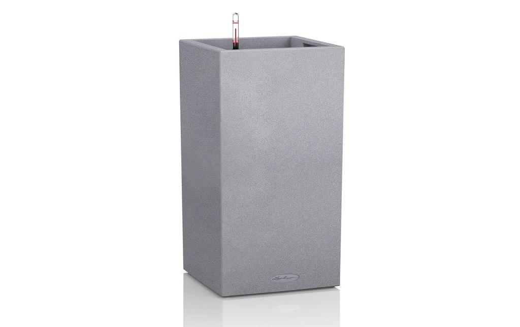 Lechuza Canto Colonne, Gris