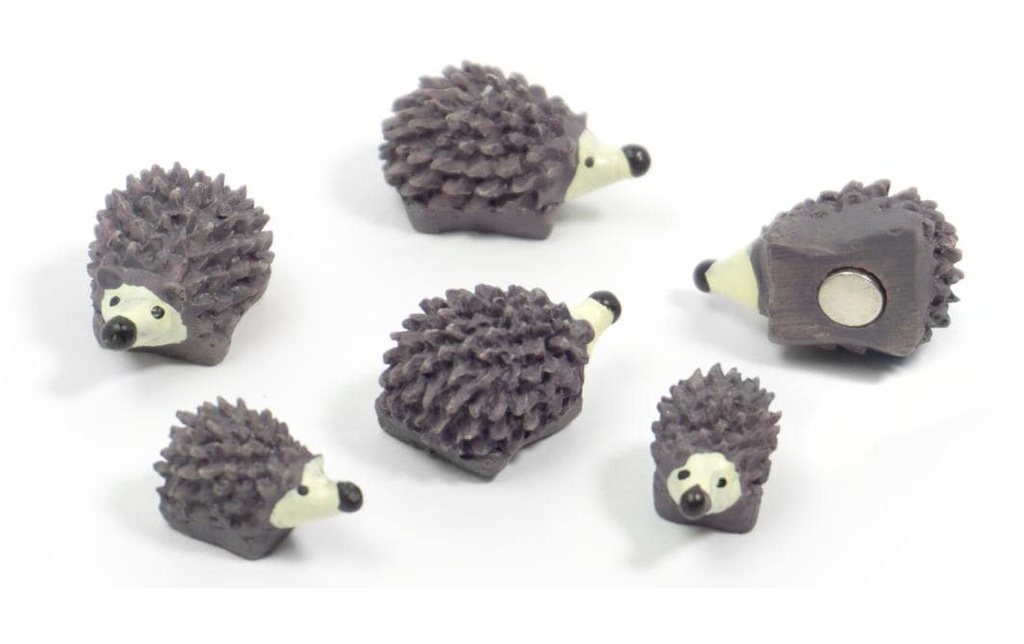 Trendform Aimant HEDGEHOG Gris, 6 Pièce/s