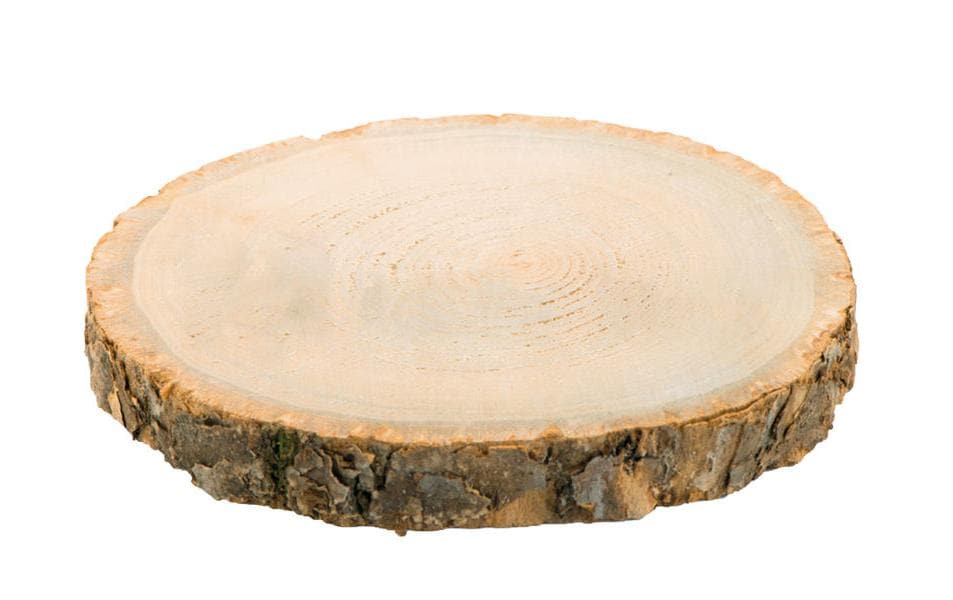 Dekomat AG Disques en bois 34 x 3.5 cm