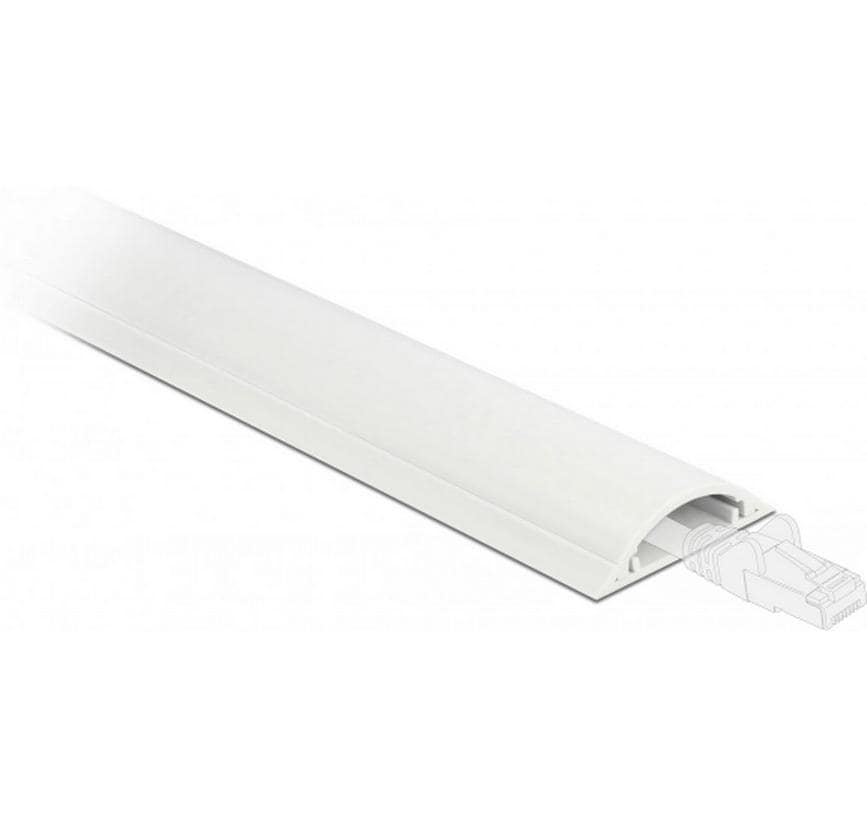 Delock Chemin de câbles 1 m x 50 mm Blanc