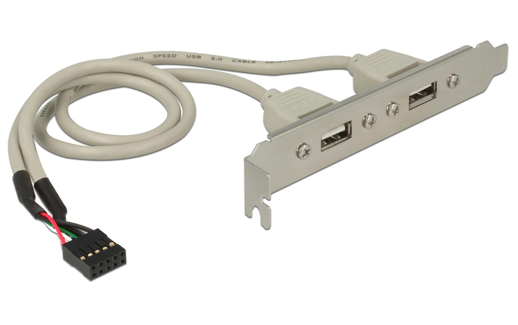 Delock Bracket 2x USB2.0 Pin Header interne