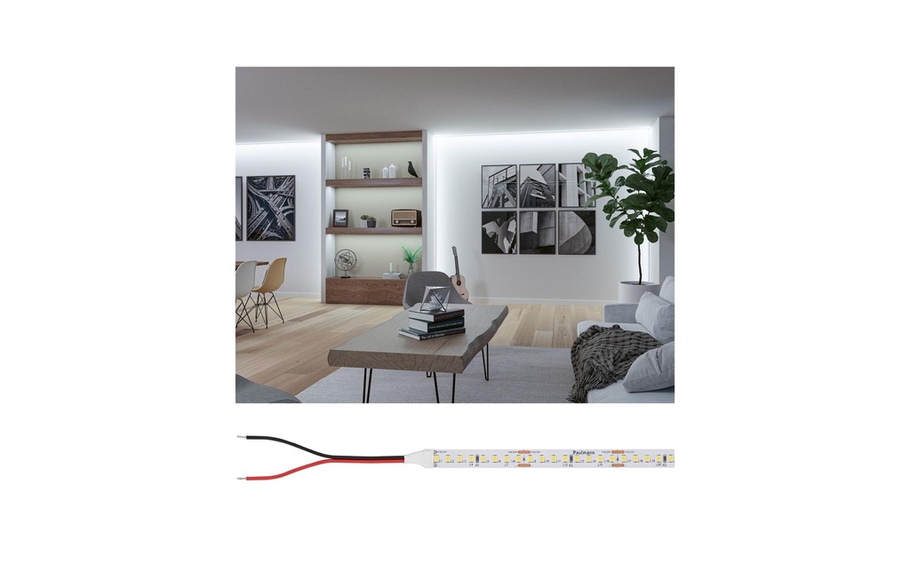 Paulmann Pro LED Strip Silver P150 865 5m 50W 160LEDs/m 6500K