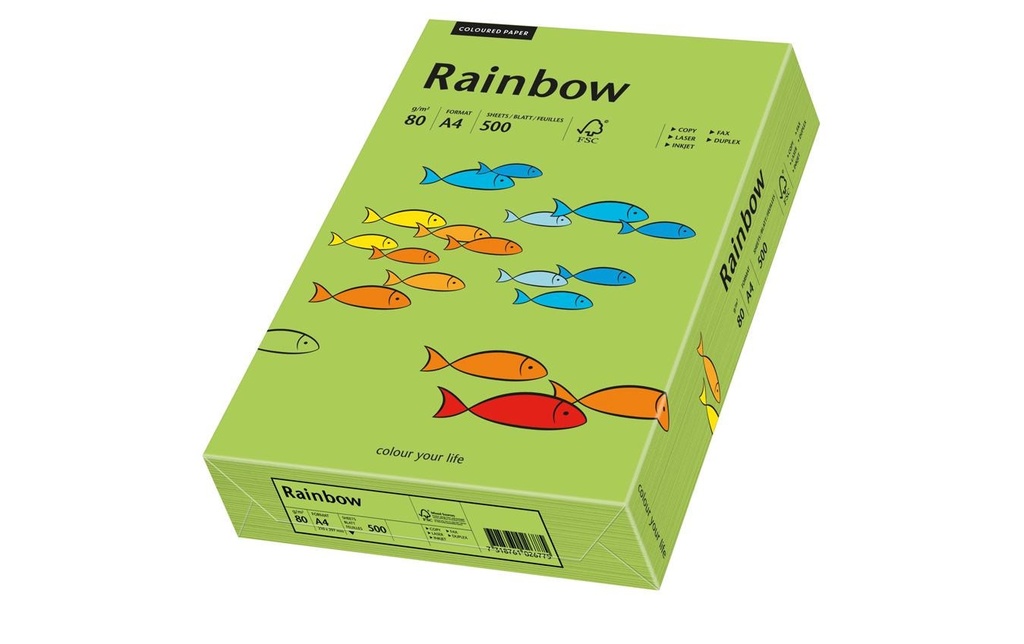 [310042652] RAINBOW Rainbow A4 80g vert (500 pces)