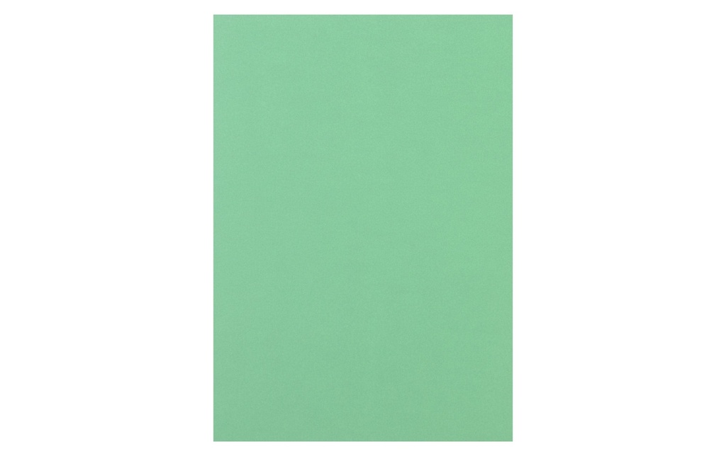 RAINBOW Rainbow A4 120g vert moyen (250 pces)