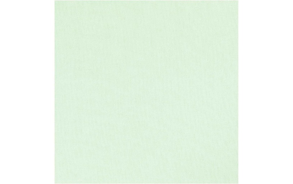 Creativ Company Tissu 145 cm x 200 cm, Vert clair