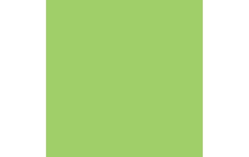 RAINBOW Rainbow A3 80g vert (500 pces)