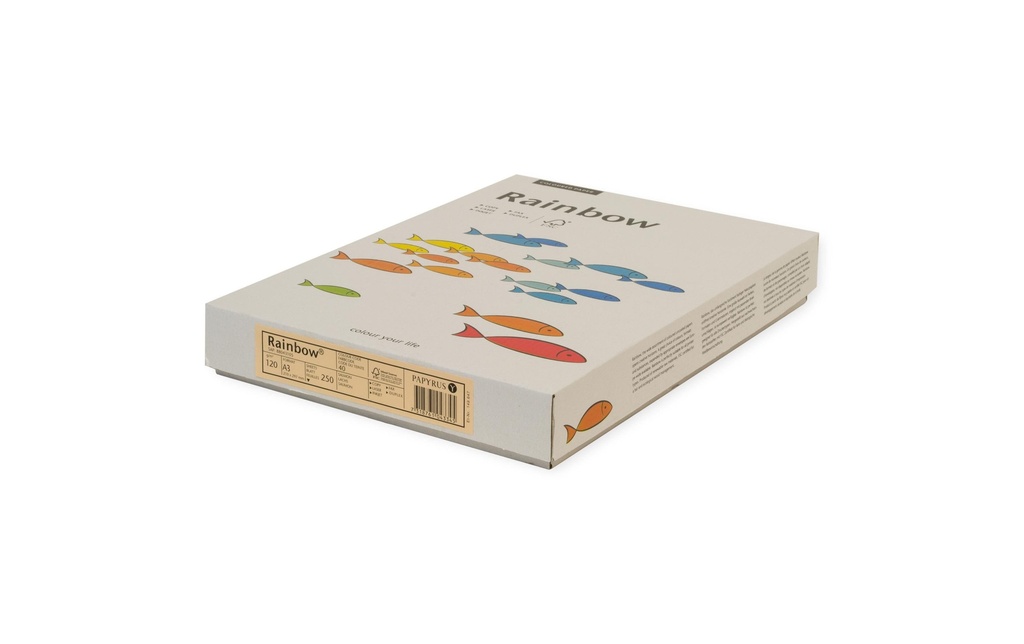 RAINBOW Rainbow A3 120g rose (250 pces)