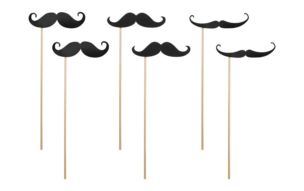 Partydeco Accessoires de fête Moustache 6 pièces, noir