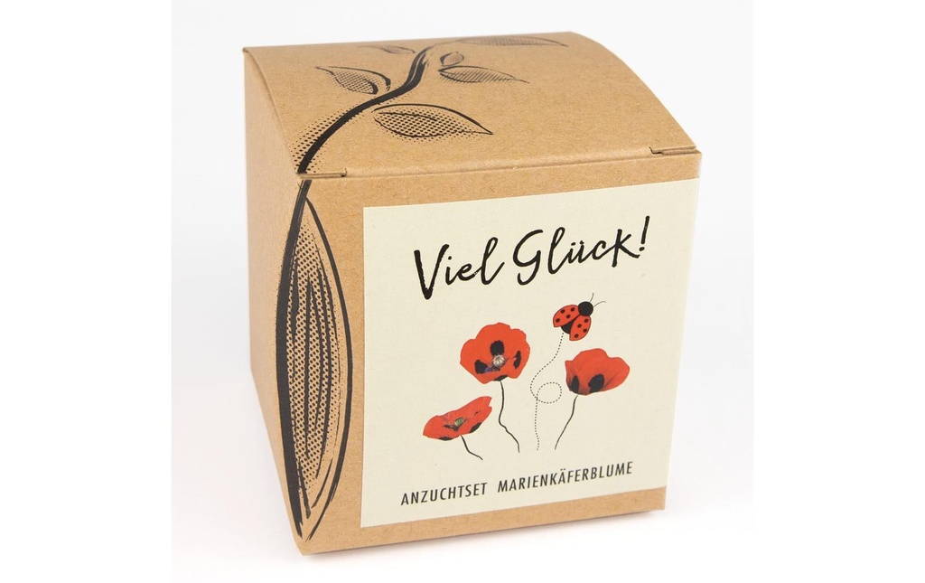Naturkraftwerk Kits de culture de semis Bonne chance avec coquelicot coccinelle