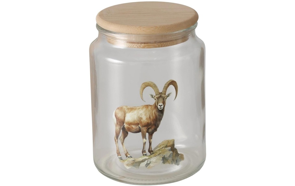 Boltze Bocal à provisions Poldie 650 ml
