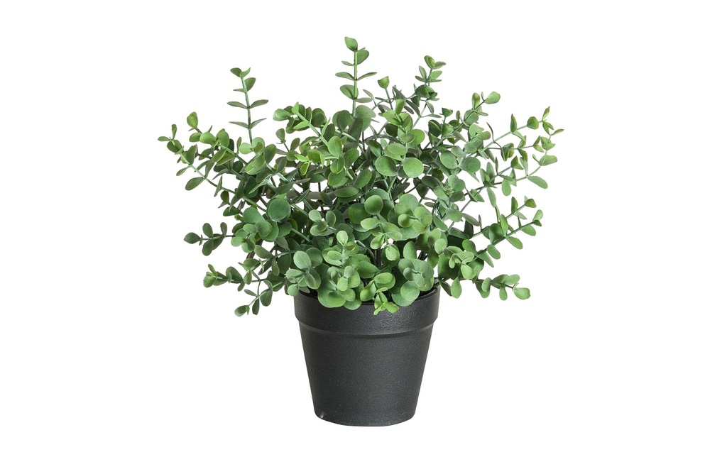 Botanic-Haus Plante artificielle Eucalyptus 21 cm