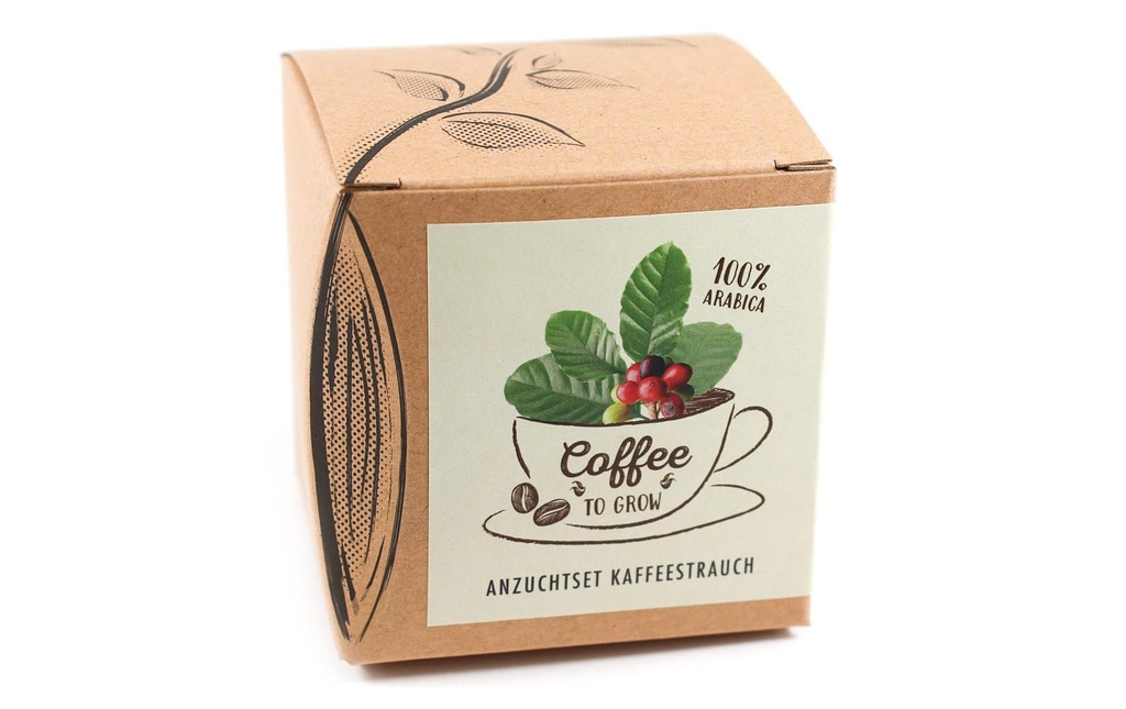 Naturkraftwerk Kits de culture de semis Coffee-to-grow avec des semences de café