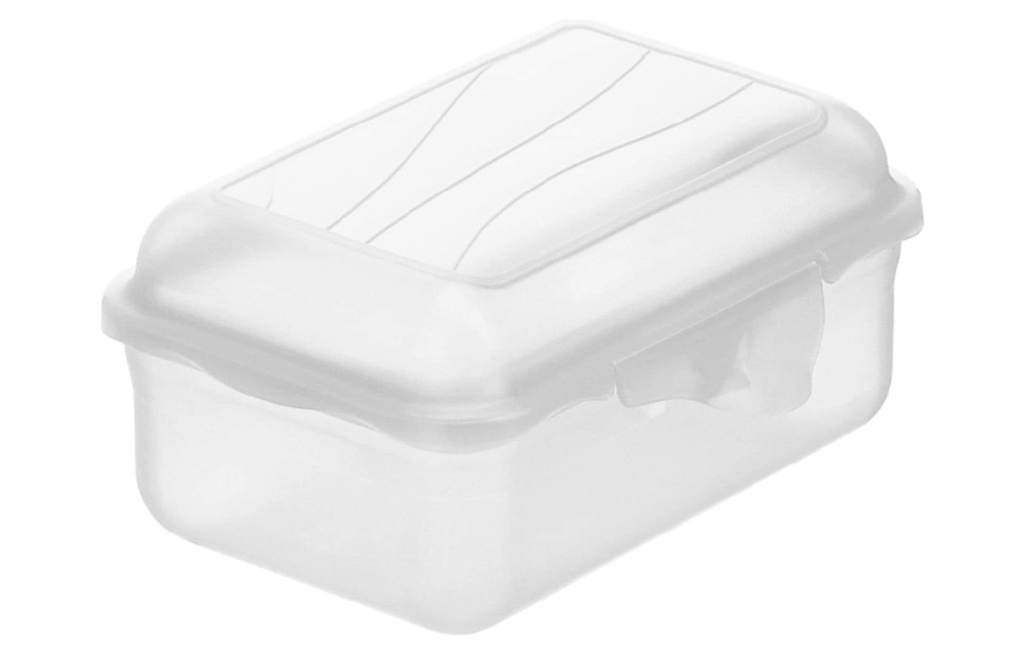 Rotho Boîte casse-croûte Fun 400 ml, Transparent