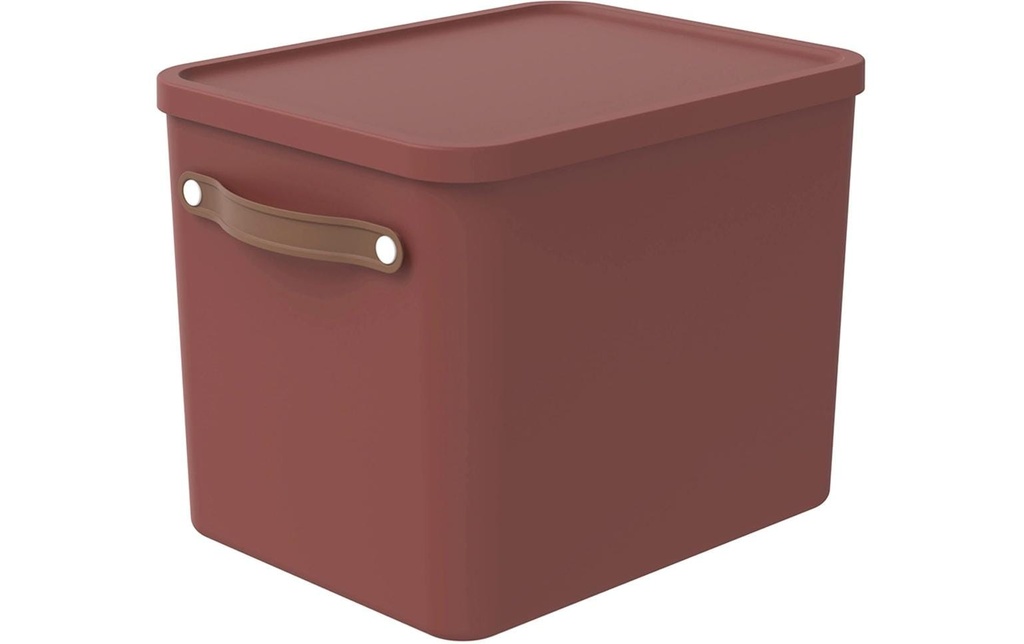 Rotho Boîte de rangement MALOJA Brun foncé