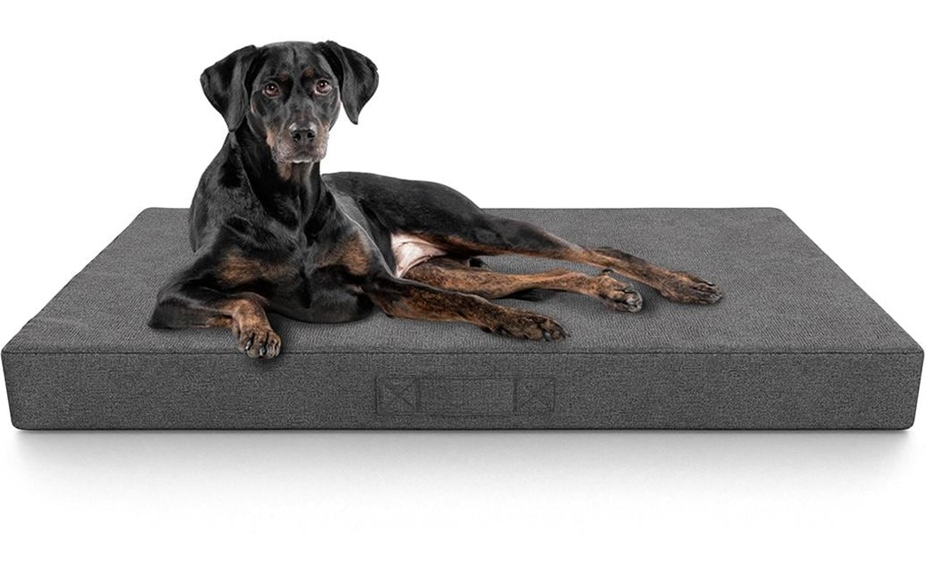 Knuffelwuff Tapis orthopédique pour chiens incontinents Lenie L, gris