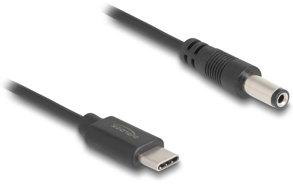 Delock Câble électrique USB Fiche creuse 5.5/2.1 mm USB-C - Spécial 1 m