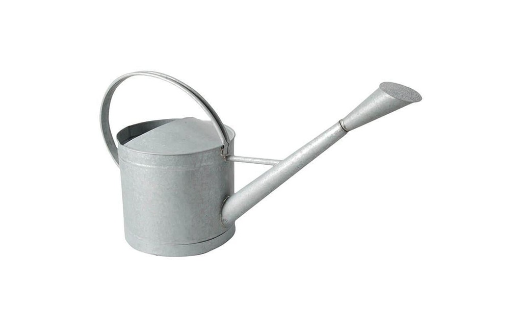 Esschert Design Arrosoir 9 l Zinc