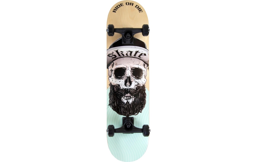 Slide Skateboard Slide 31 Ride or Die