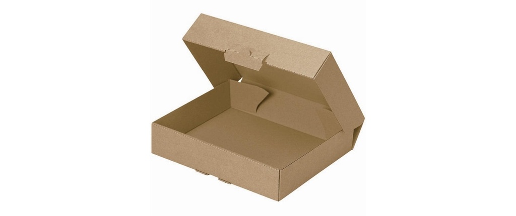 Brieger Carton d’expédition Boîte à clapet 15.5 x 11 x 6.5 cm