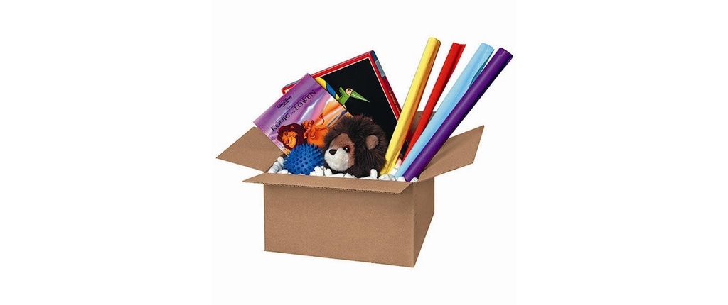 Brieger Carton d’expédition 22 x 15.5 x 12 cm, 1 pièce