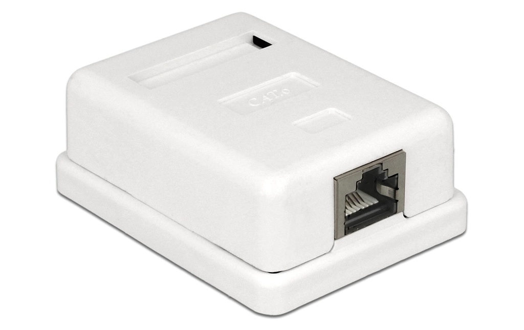 Delock Boîtier Cat.6 LSA célibataire