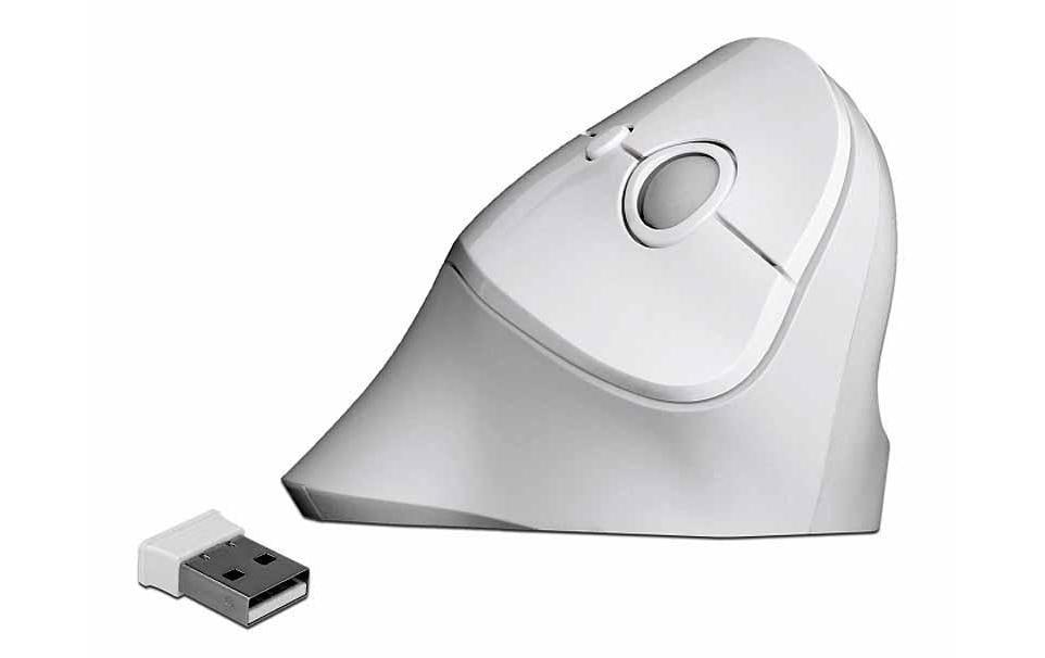 Delock Souris ergonomique 12596 USB sans fil