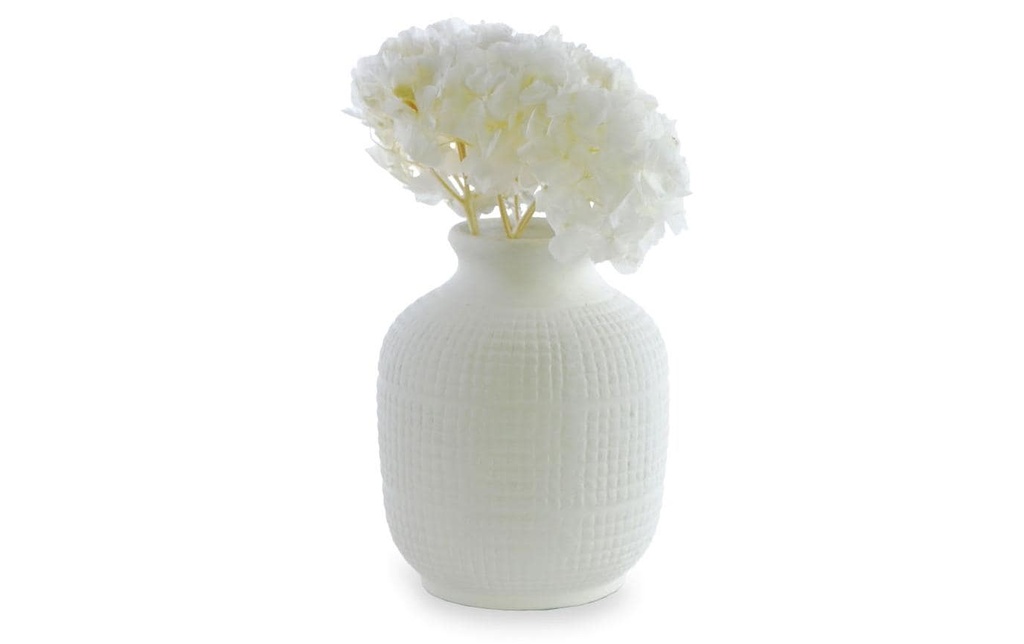 Soli Collection Fleurs séchées Hortensias 30 cm, blanc