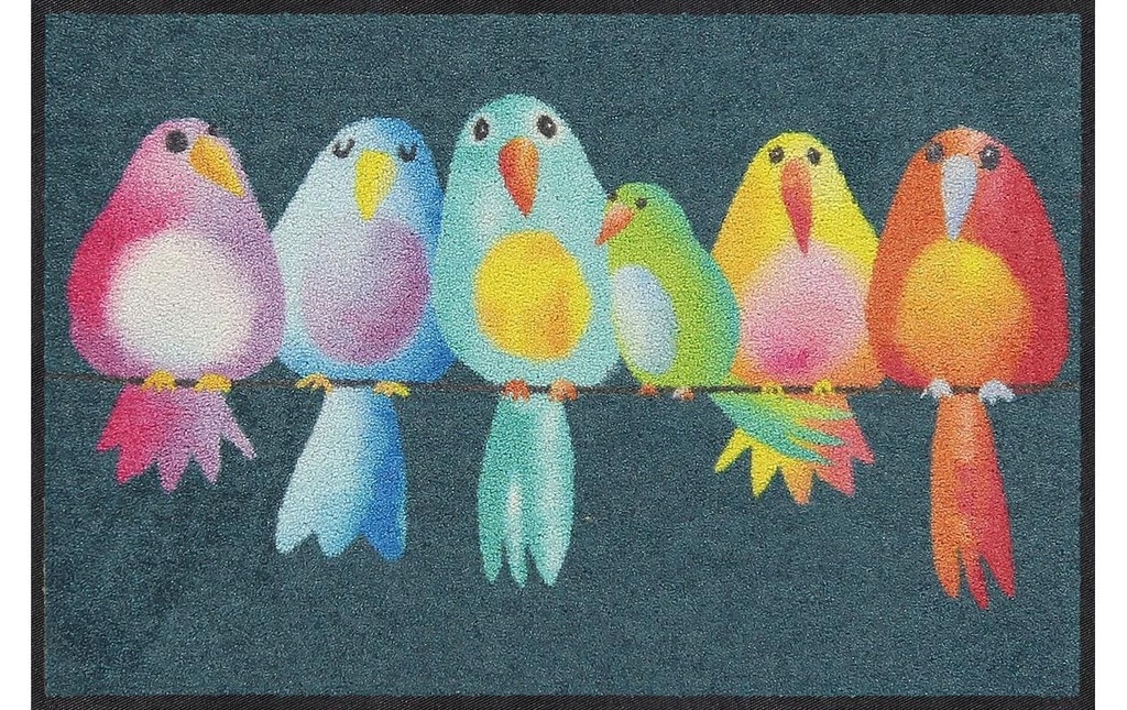 Salonlöwe Tapis de sol Rainbow Birds 50 cm x 75 cm
