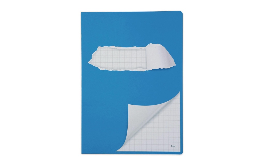 ELCO Cahier A4 5mm qua.sans cad (48 pces)