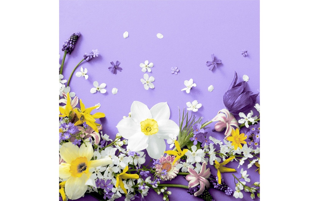 Paper + Design Serviettes en papier Soft Spring Purple 33 cm x 33 cm, 20 Pièce/s