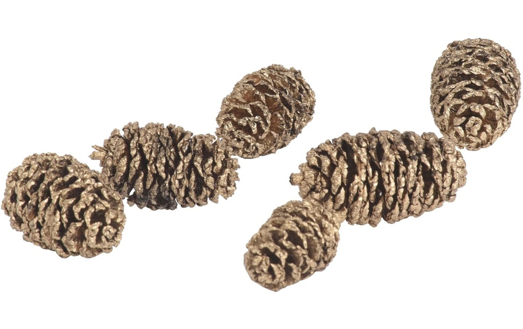 COCON Décoration à saupoudrer Cônes d'aulne Or, 150g