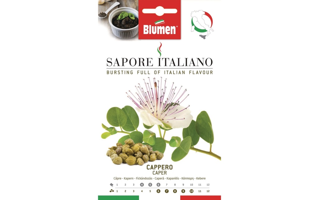 Blumen Semence câpres