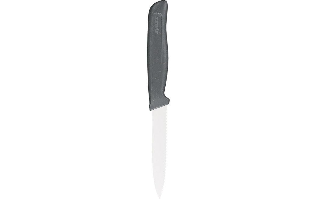 Zyliss Petit couteau E920285 10 cm, Noir/Argenté