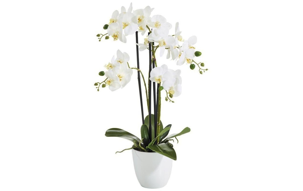Botanic-Haus Fleur artificielle Phalenopsis  en pot, 4 panicules, blanc