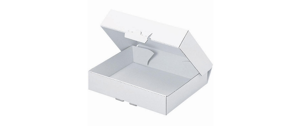 Brieger Carton d’expédition 15.5 x 11 x 45 cm, 1 pièce